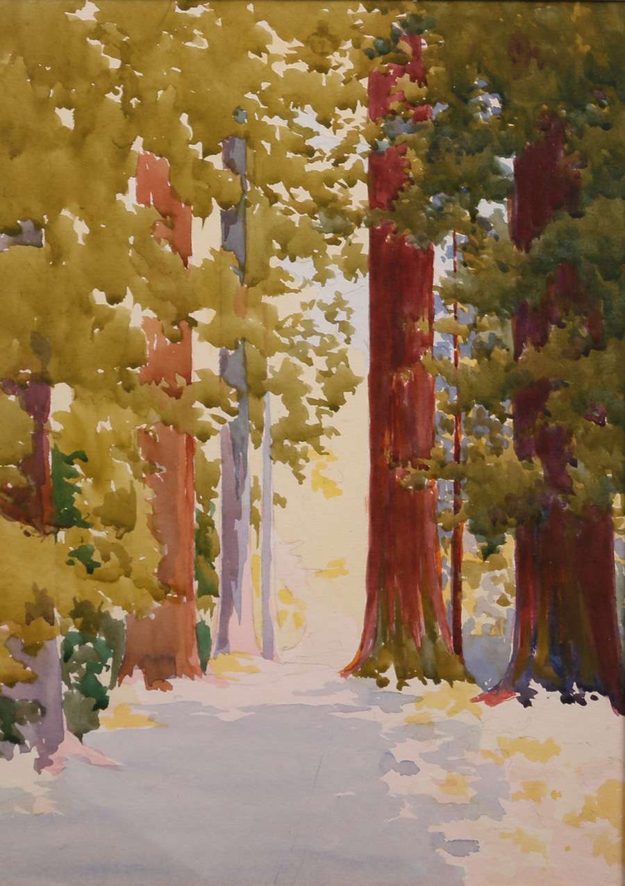 Work Van For Sale >> Erwin Winterhalder Watercolor Redwood Trees in Snow ... Work Van For Sale >> Erwin Winterhalder Watercolor Redwood Trees in Snow ...